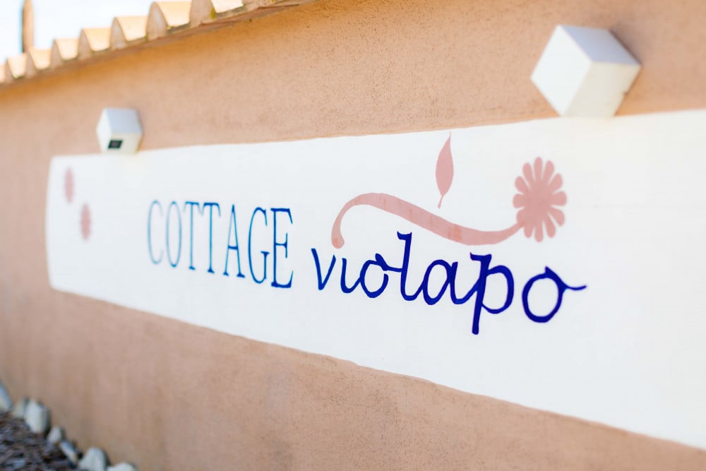 Cottage Violapo
