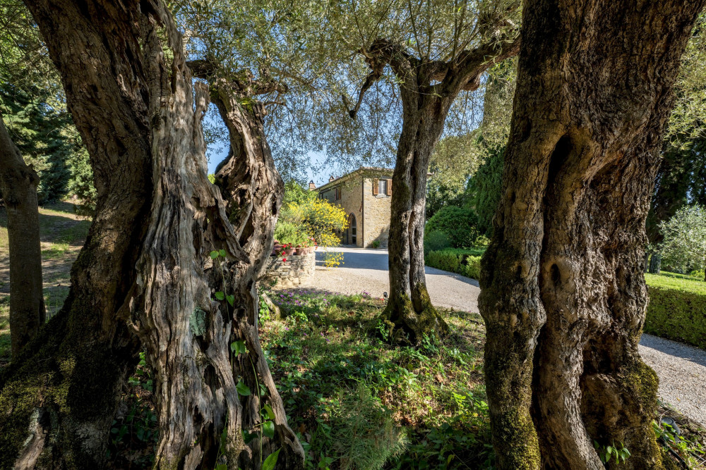 Tenuta Sagherina