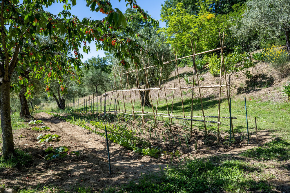 Tenuta Sagherina