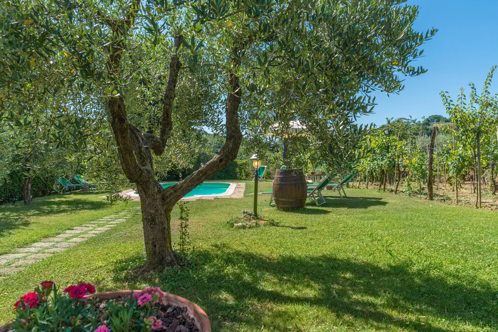 Villa Sorripa