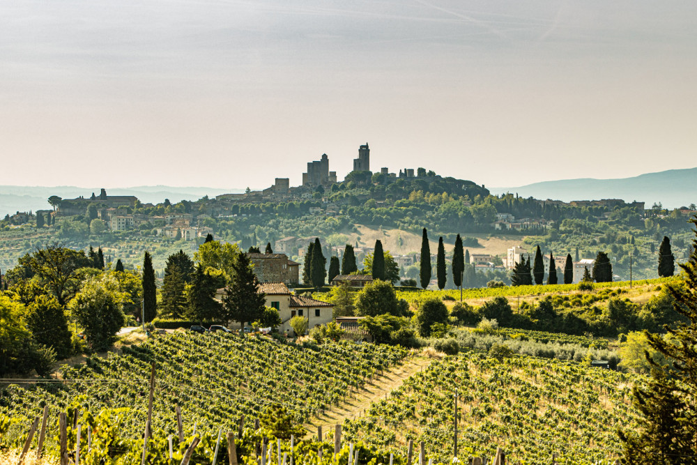 Tenuta di Macericca