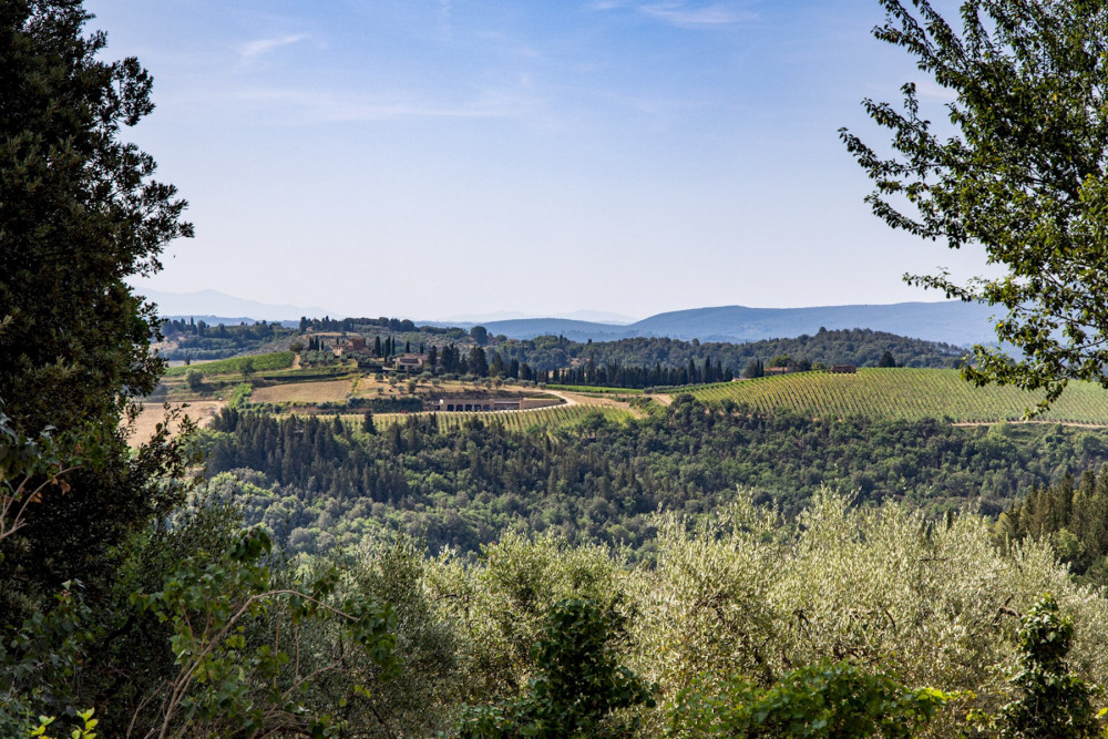 Tenuta di Macericca