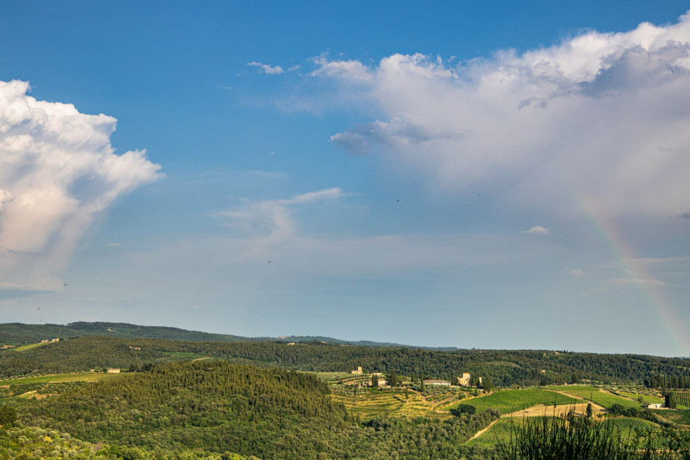 Tenuta di Macericca