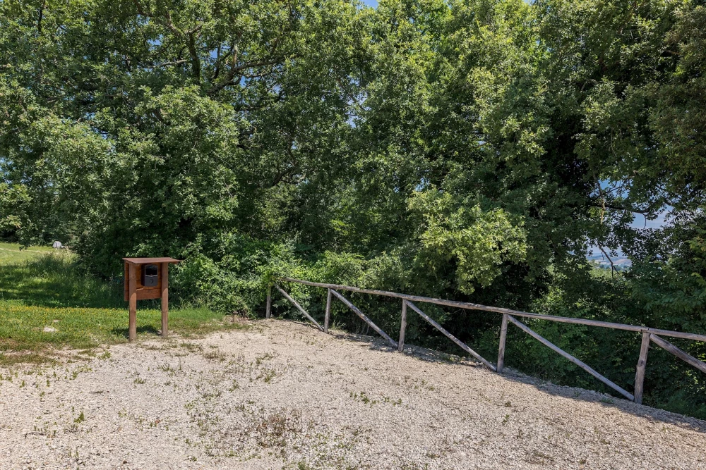 Il Colle Di Donna Ilaria