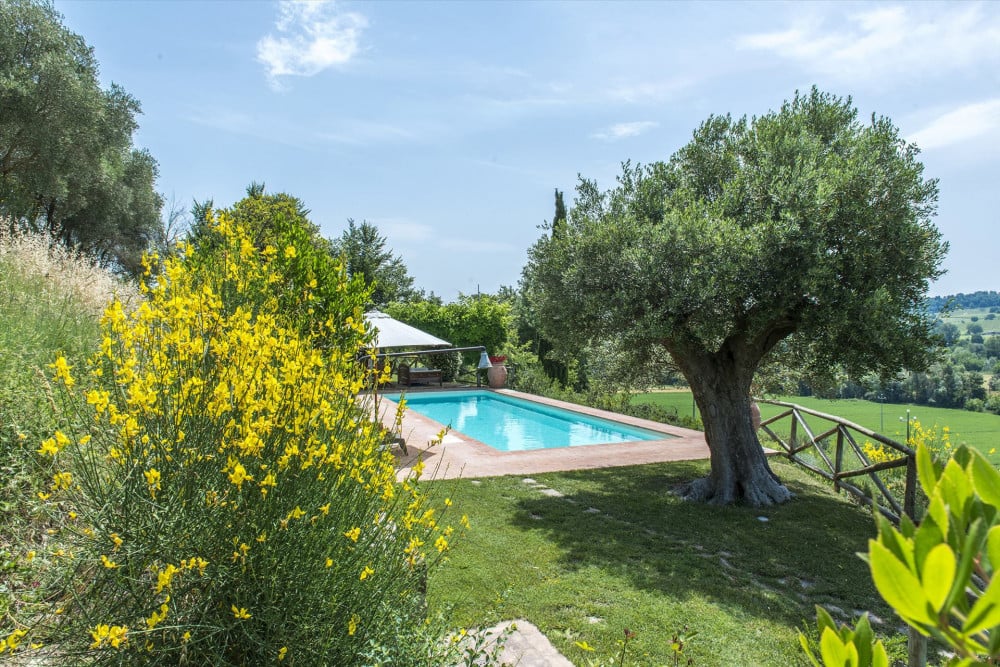 Podere San Buono