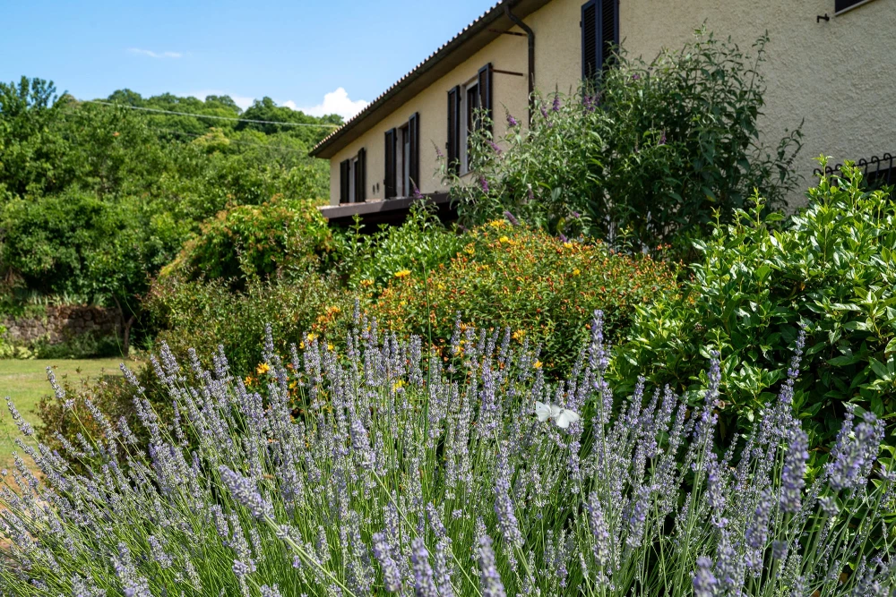 Casale Le Conce