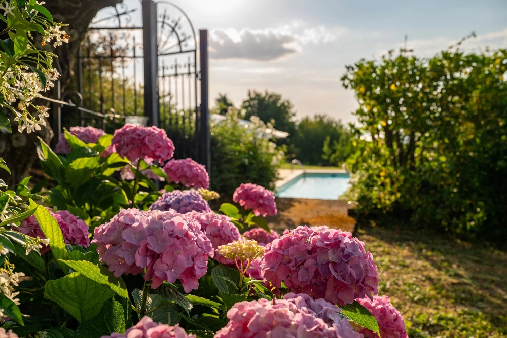 Casale Le Conce