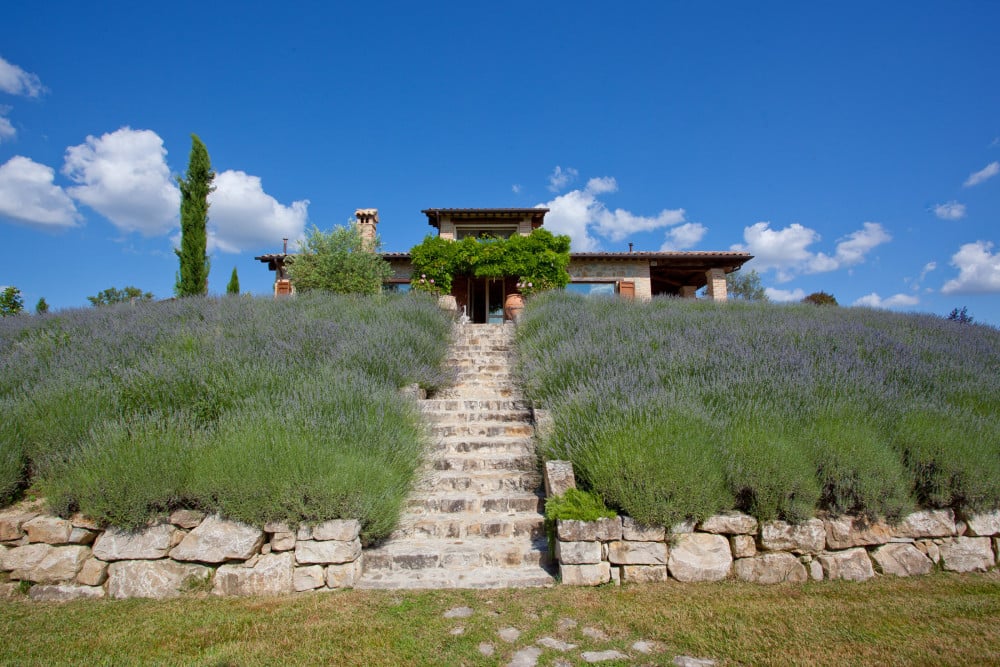 Casale Delle Lavande