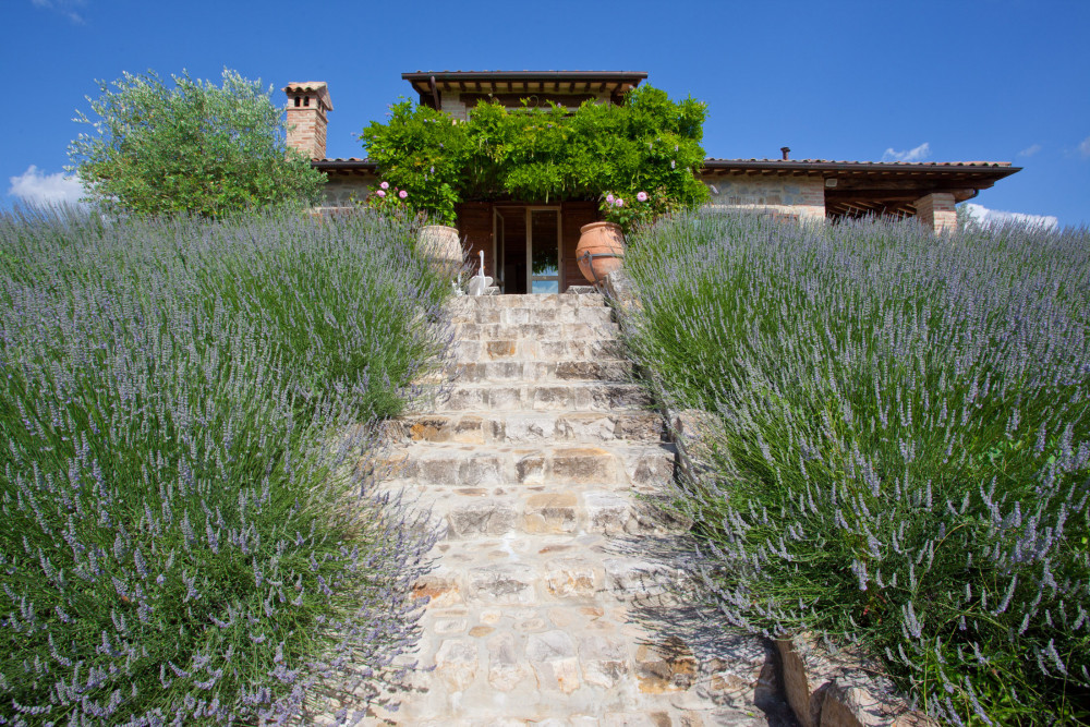 Casale Delle Lavande