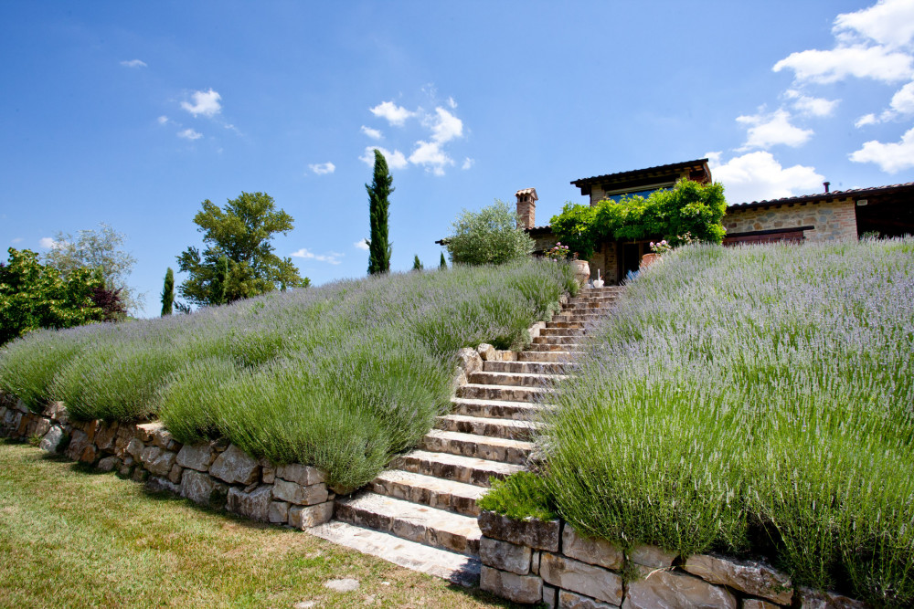 Casale Delle Lavande