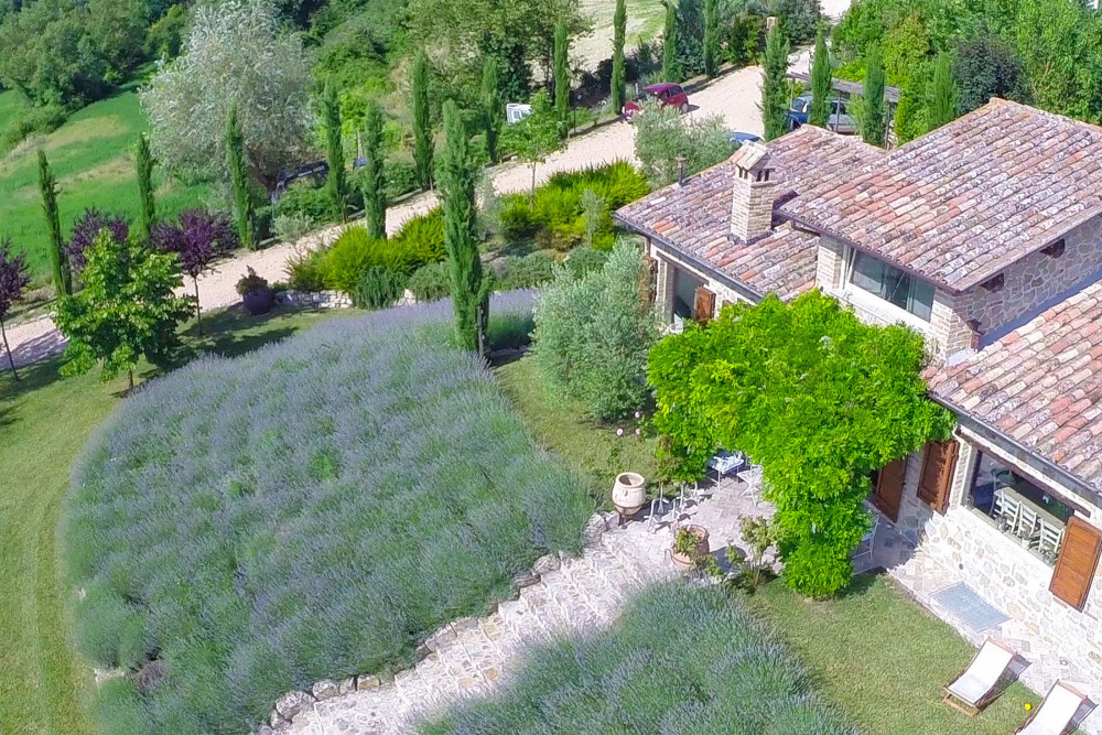 Casale Delle Lavande