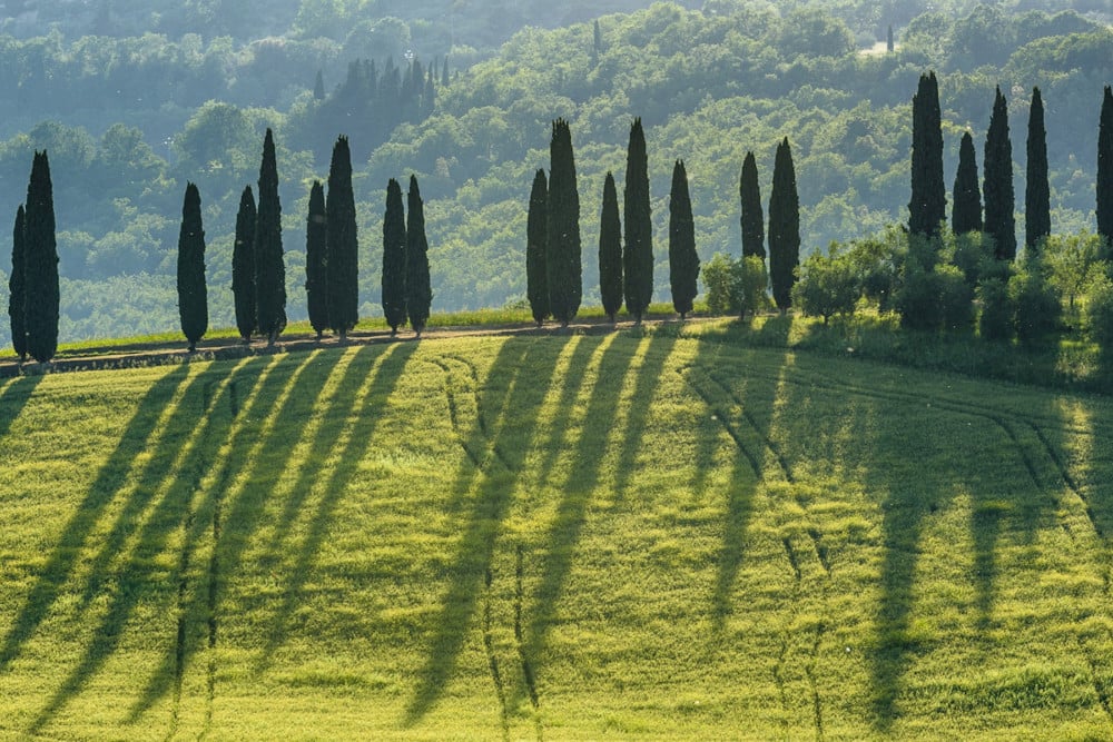 Podere Gragnano