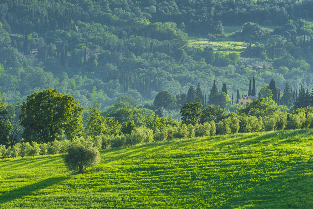 Podere Gragnano