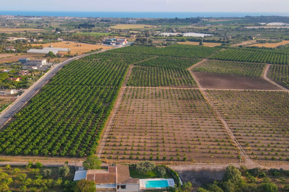 Il Giardino Dei Limoni