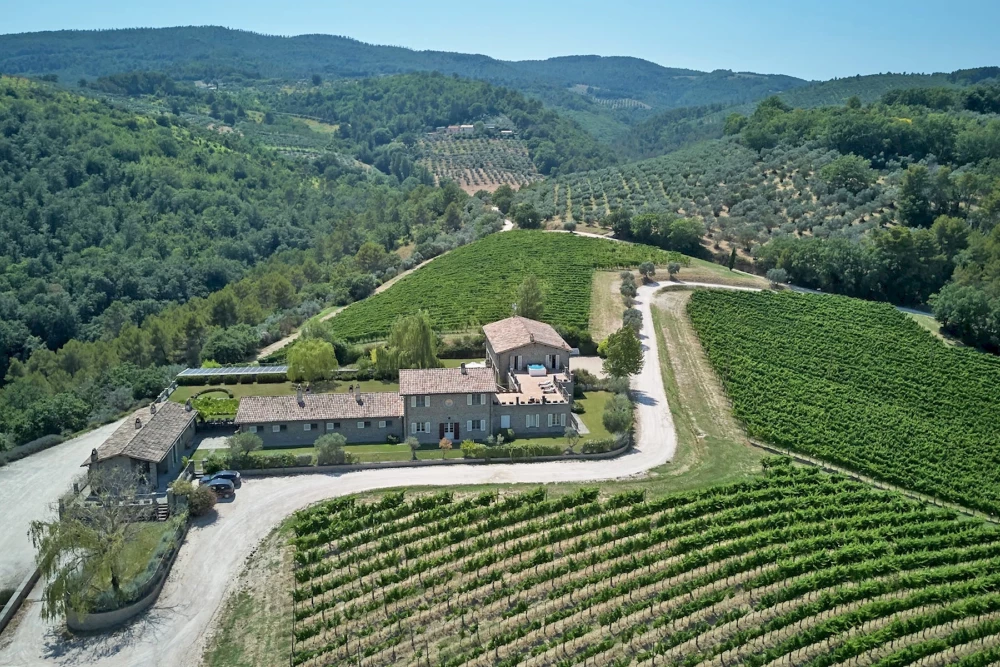 Tenuta Bellafonte