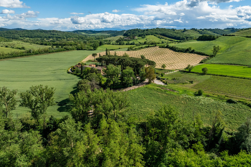 Podere Bellaria