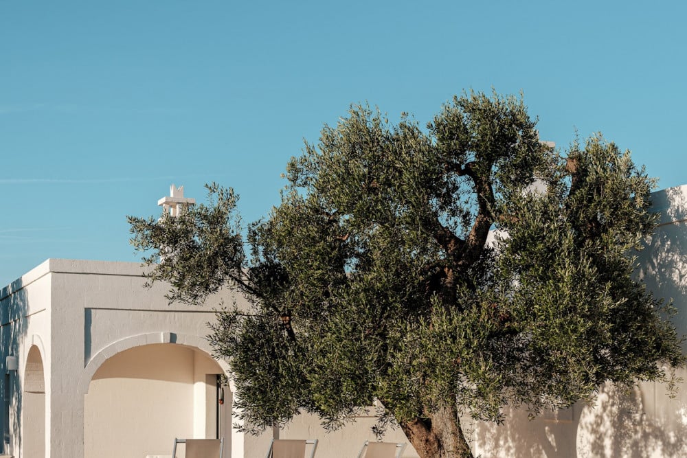 La Torre di Monsignore