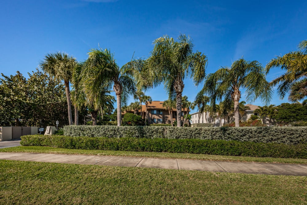 Belleair Beach 5