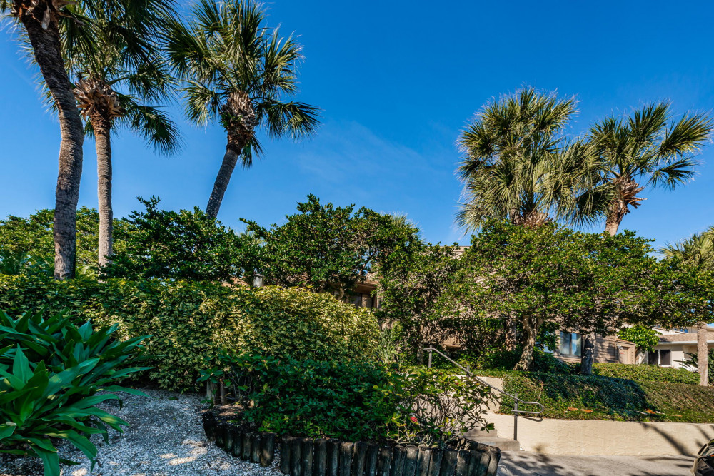 Belleair Beach 5