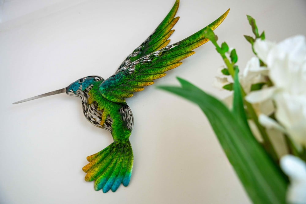 Hummingbird - Mullins Bay
