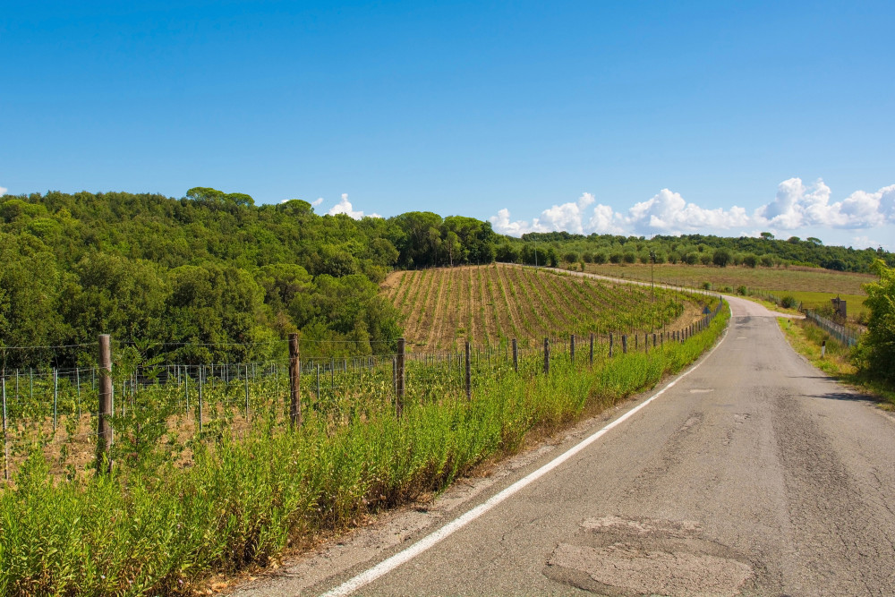 Tuscany 59