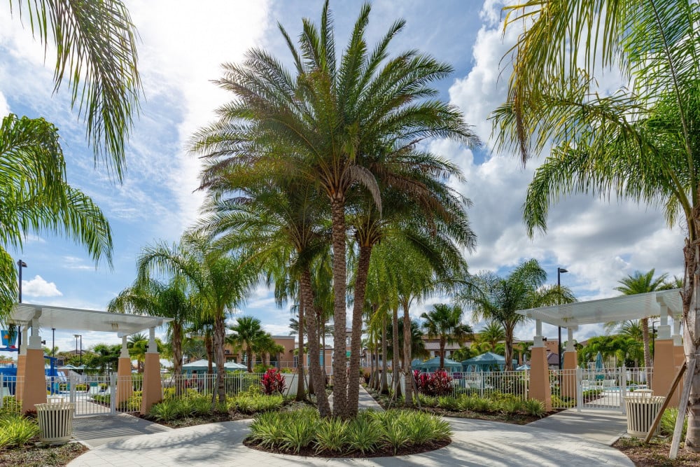 Solara Resort 484