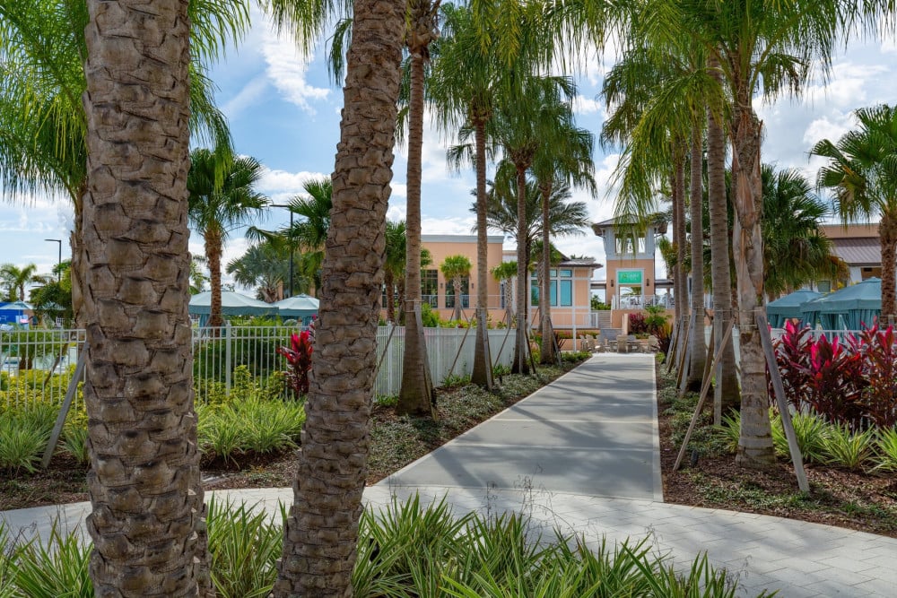 Solara Resort 484
