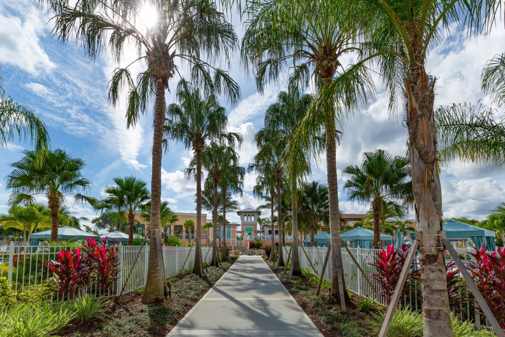 Solara Resort 484