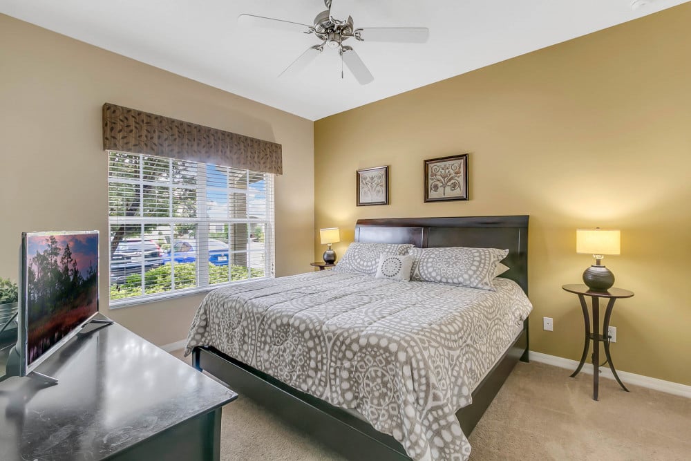 Paradise Palms Resort 375