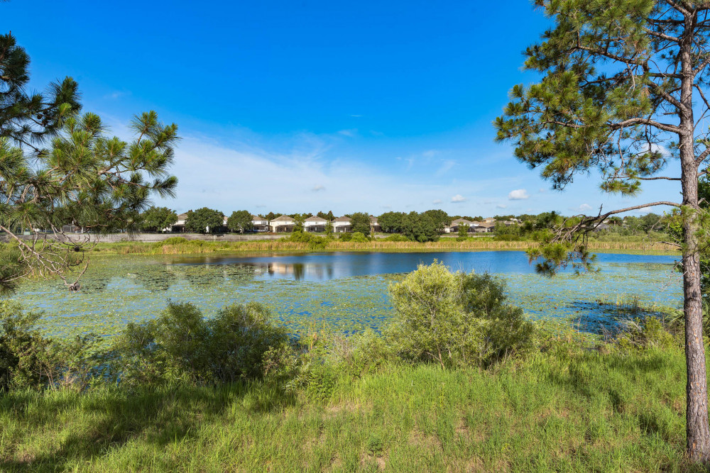 Windsor Hills Resort 1051