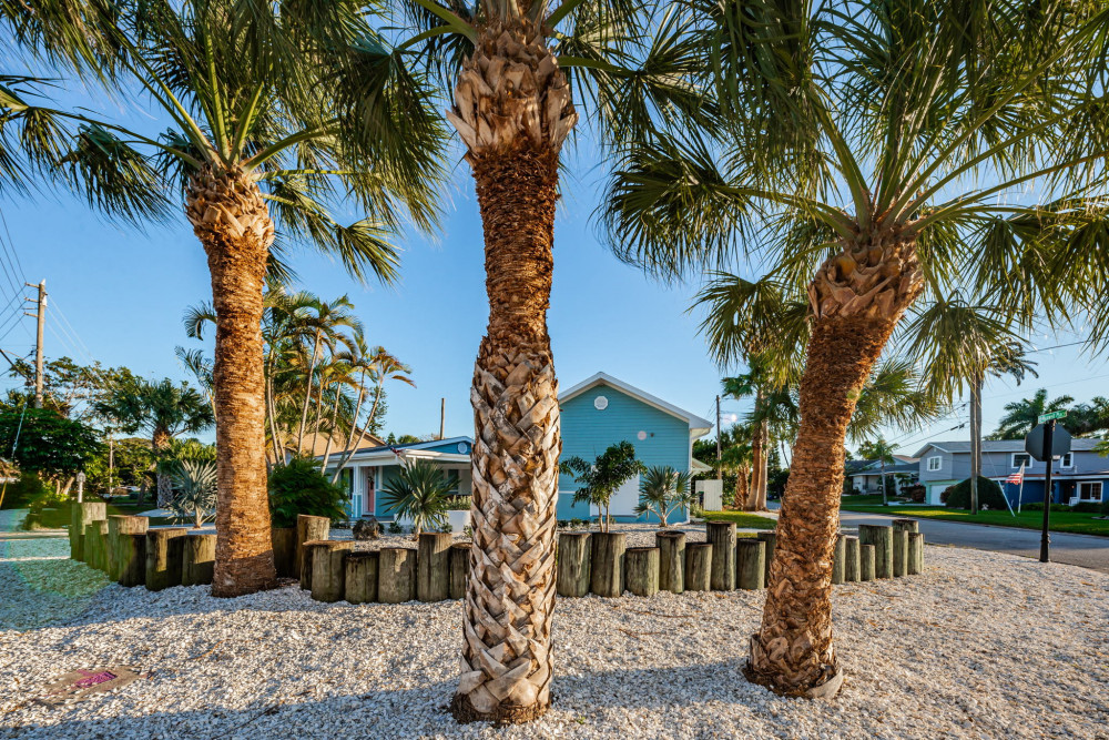 Indian Rocks Beach 32