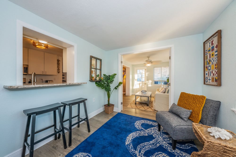 Indian Rocks Beach 32