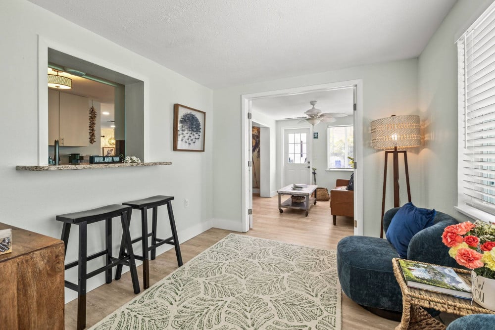 Indian Rocks Beach 32