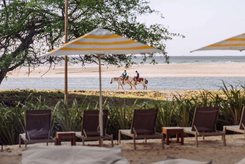 Tamarindo 17