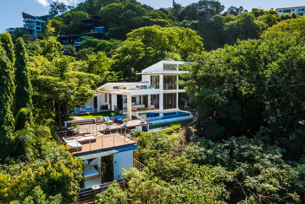 Tamarindo 17