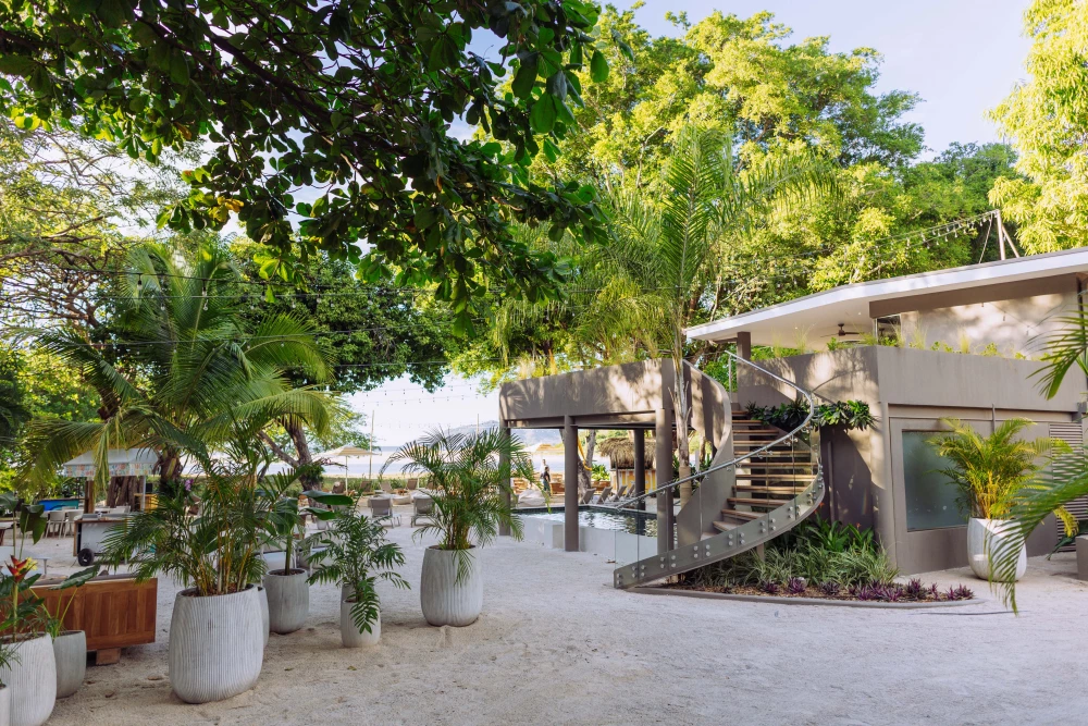 Tamarindo 17