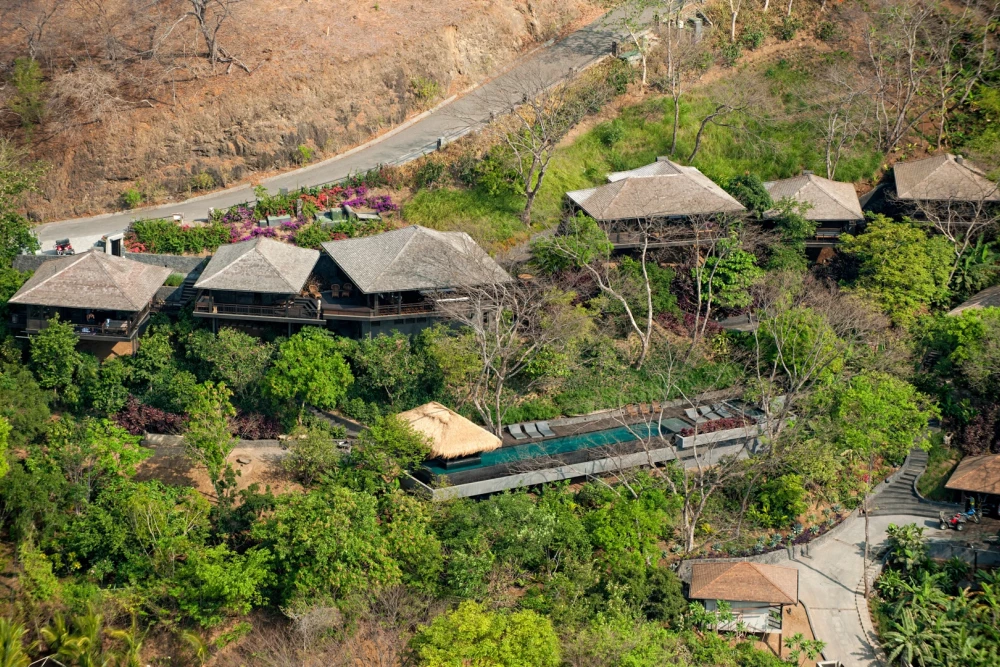Tamarindo 26