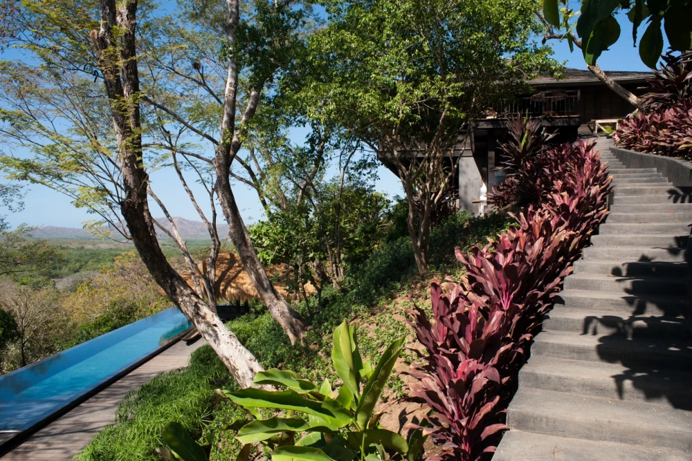 Tamarindo 26
