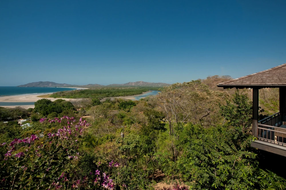 Tamarindo 26