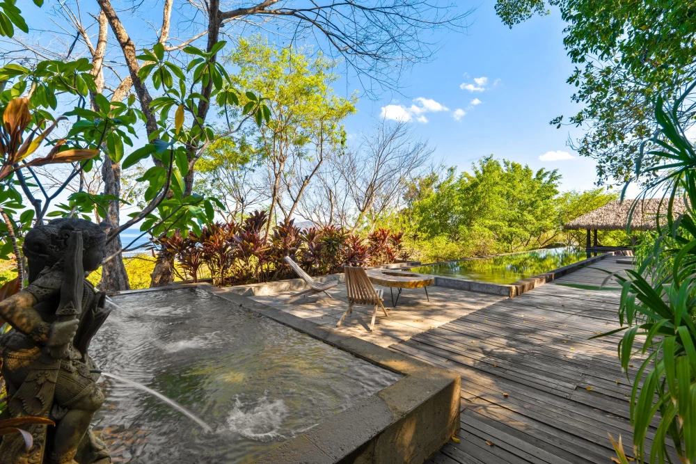 Tamarindo 26
