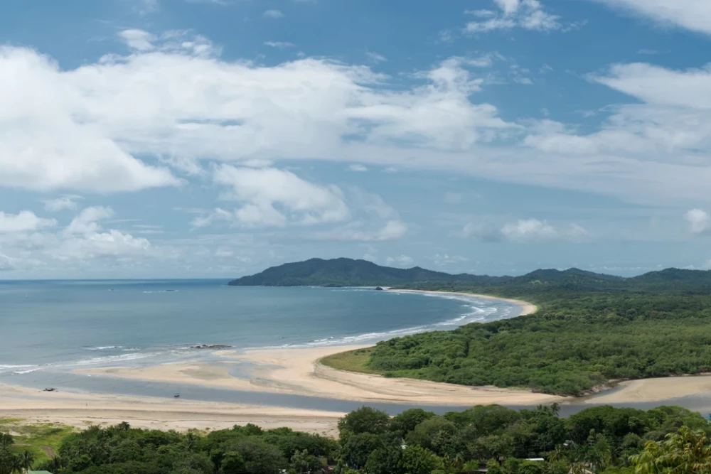 Tamarindo 26