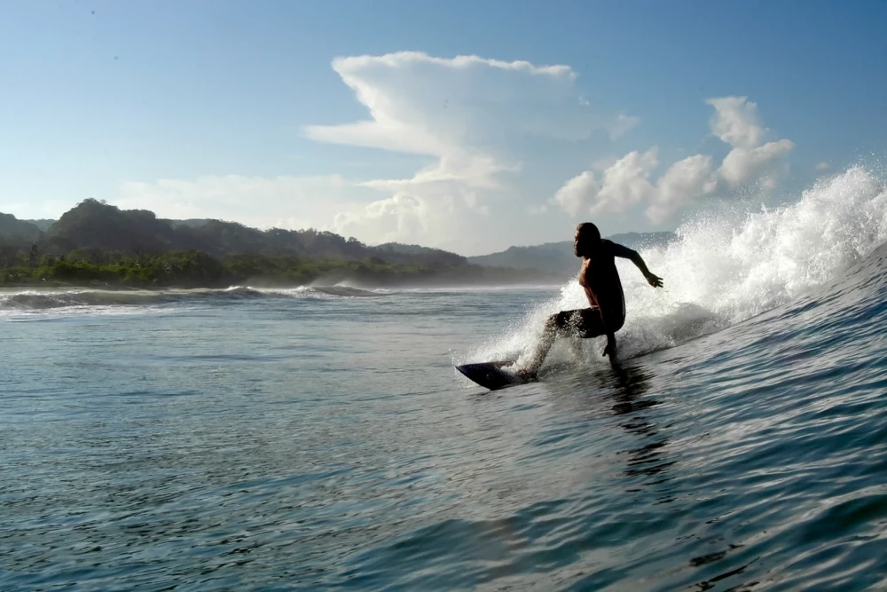 Tamarindo 26