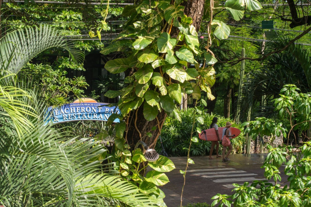 Playa Langosta 10