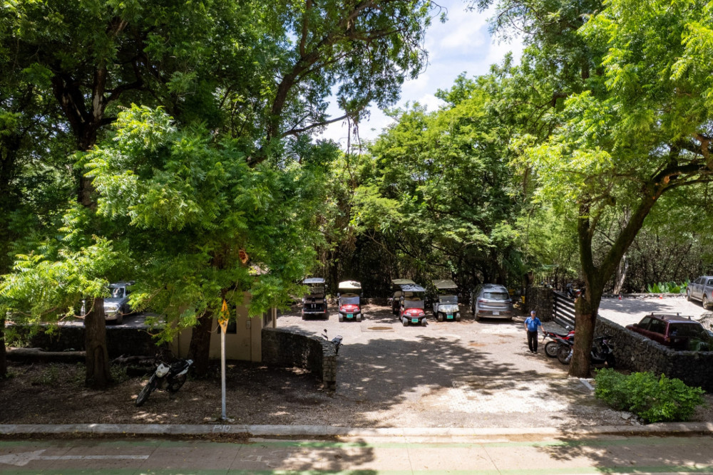 Playa Langosta 10