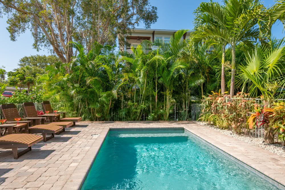 Siesta Key 68