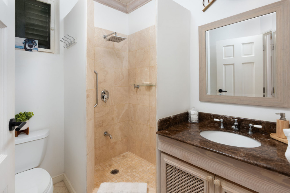 Beacon Hill 202 - Moonshadow