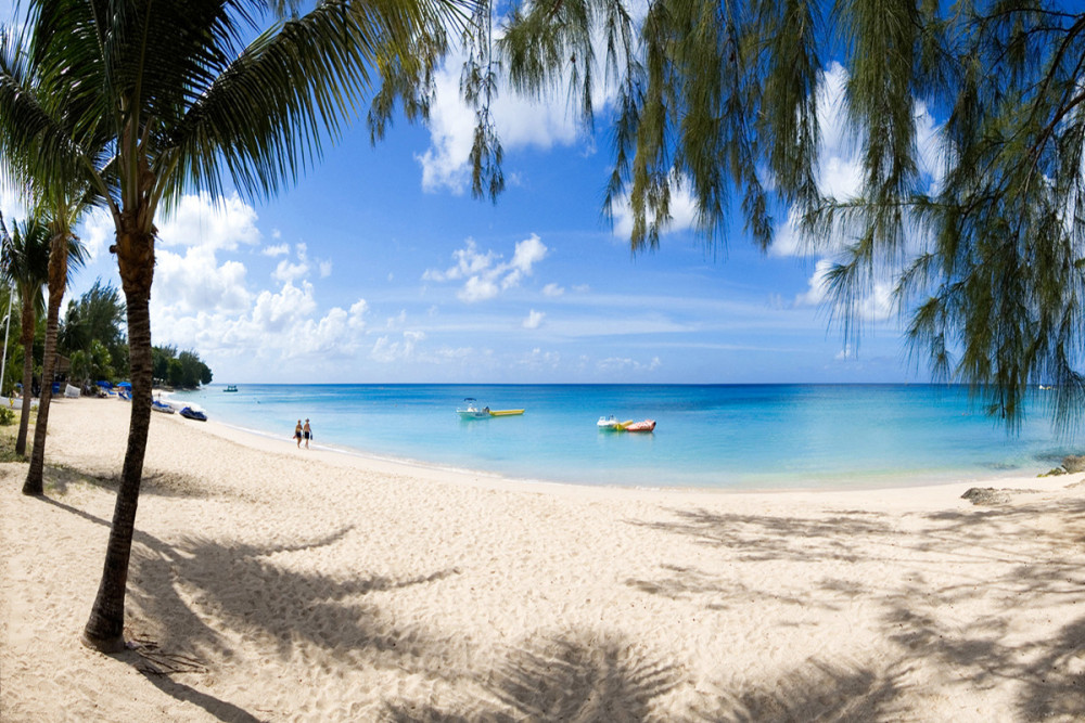 Beacon Hill 202 - Moonshadow