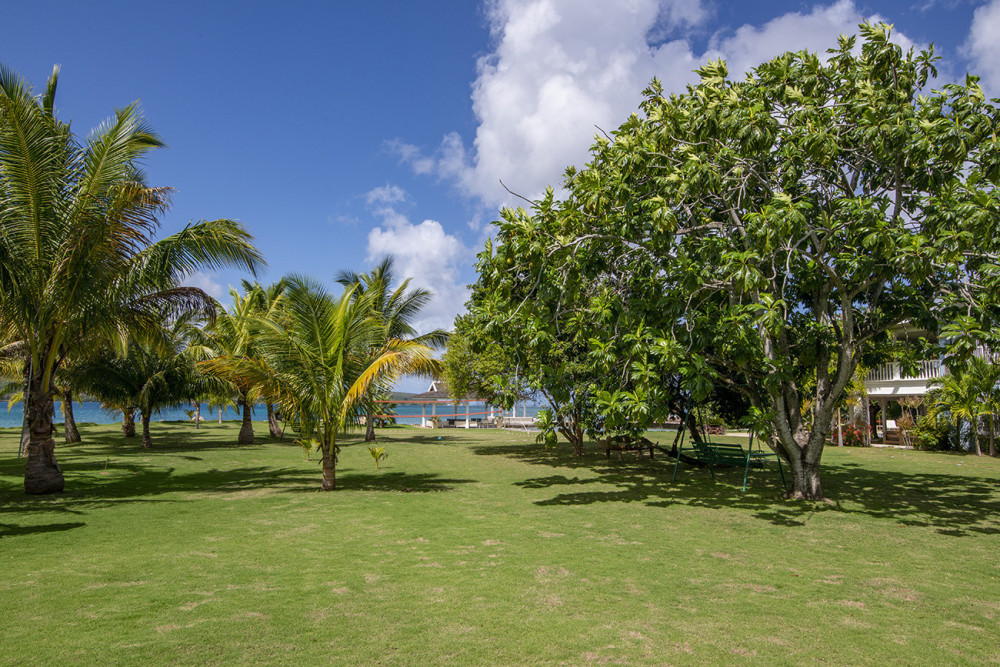 A Summer Place on the Beach