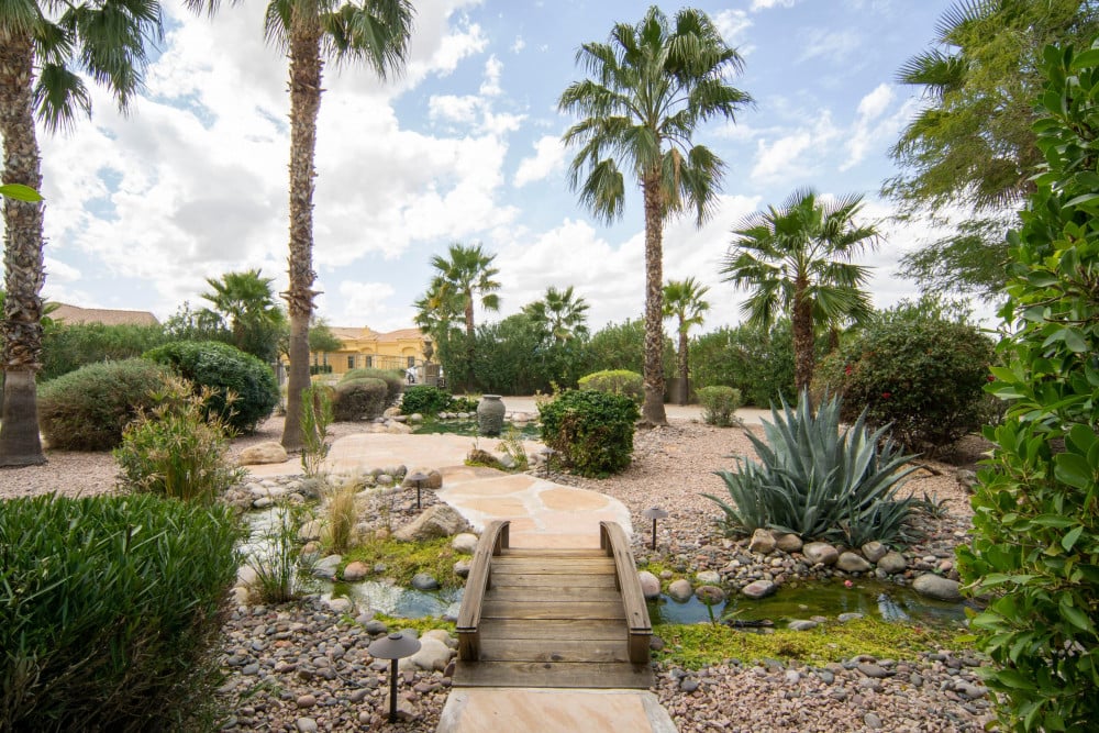 Scottsdale 276
