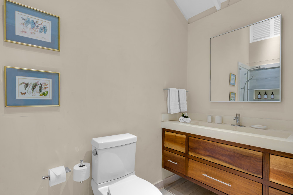 Sea Grapes on the Beach